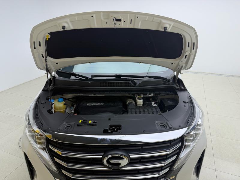 Trumpchi GAC Trumpchi M8 2021