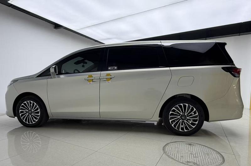 Buick Buick GL8 PHEV 2025