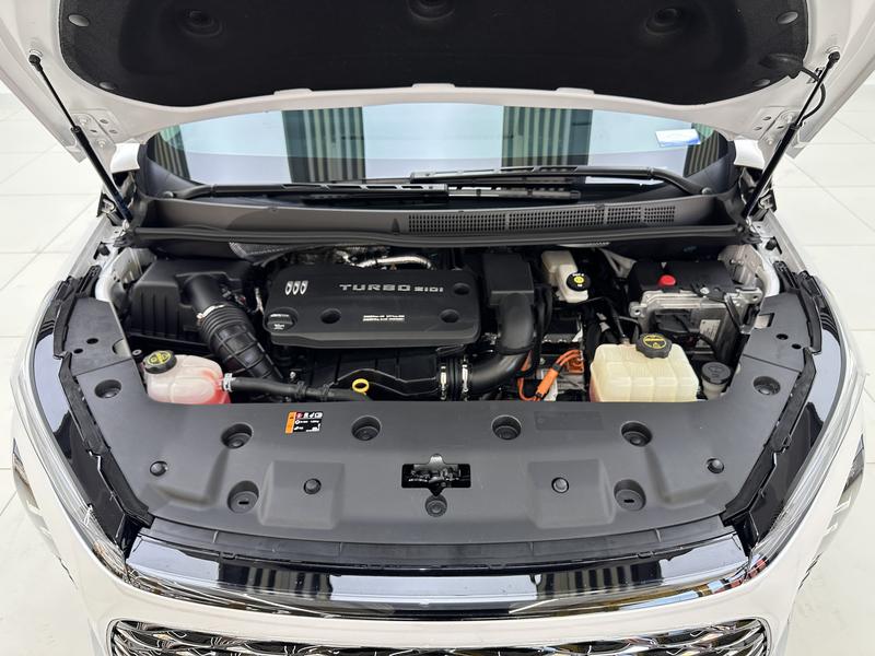 Buick Buick GL8 PHEV 2024