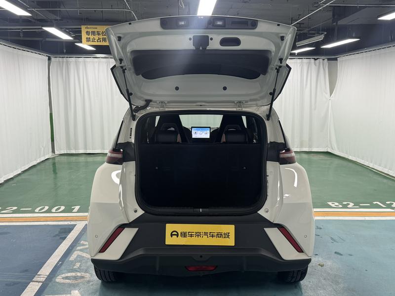 BYD seagull 2024