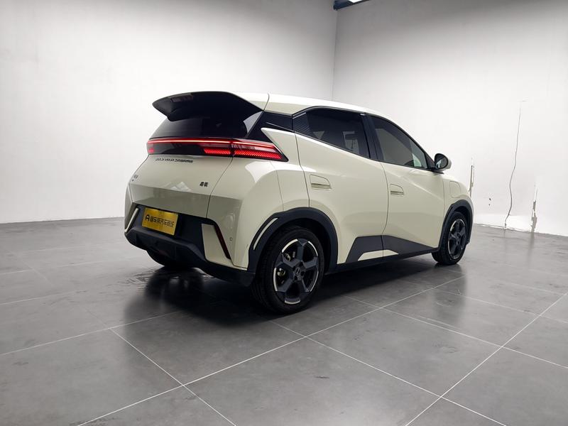 BYD seagull 2024