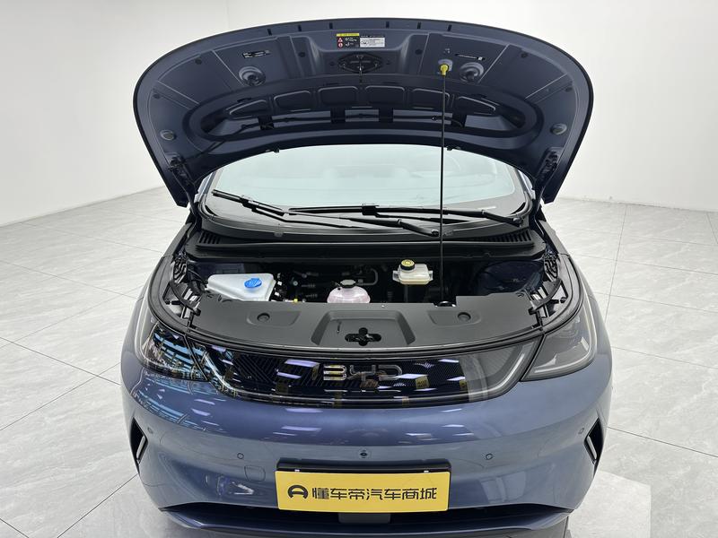BYD dolphin 2025