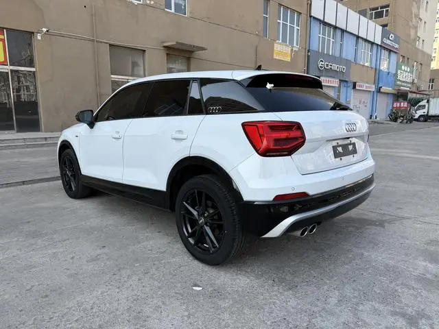 Audi Audi Q2L 35TFSI aggressive dynamic type