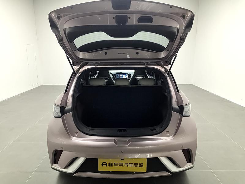 BYD dolphin 2023