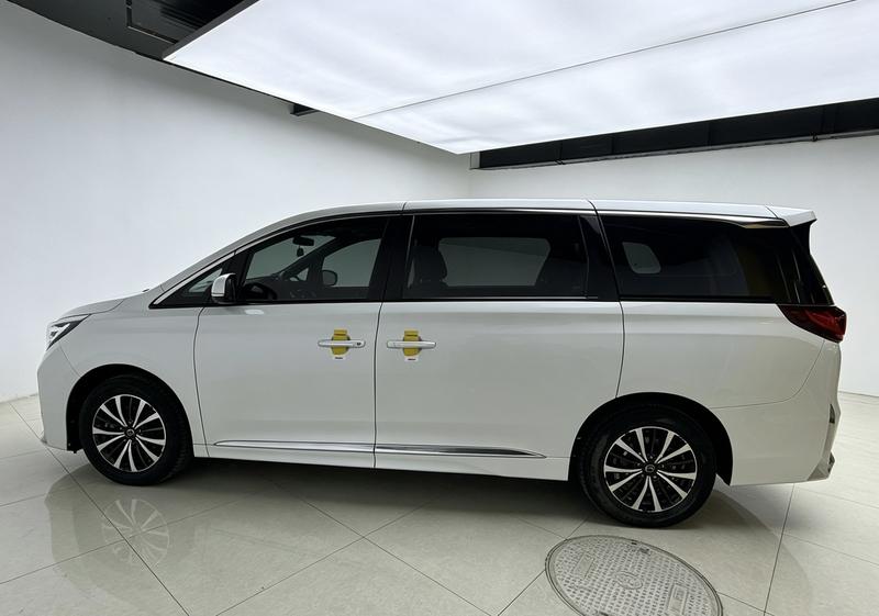 Trumpchi GAC Trumpchi M8 2021