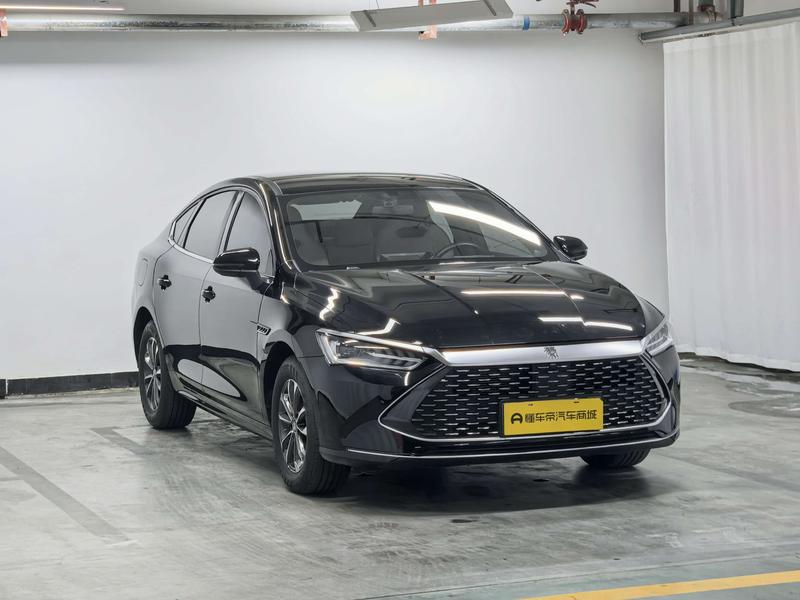 BYD Qin PLUS DM 2024