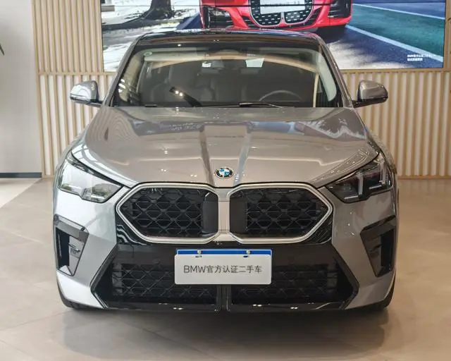 BMW BMW X2 (imported) sDrive25i M sports suit