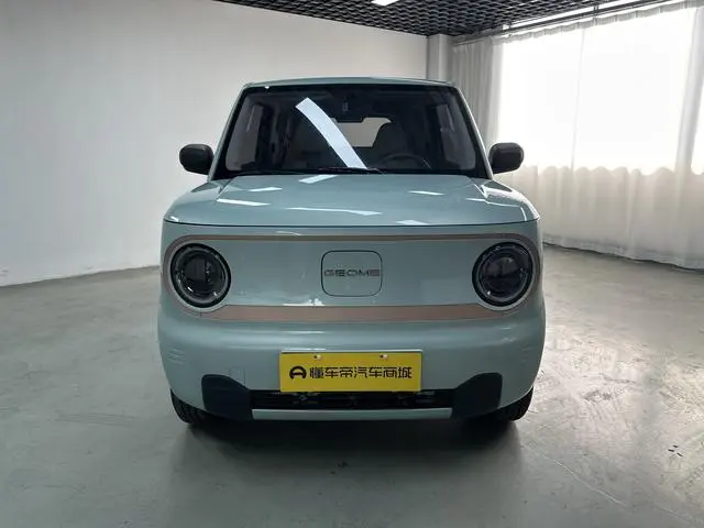 Geely Galaxy panda 200km panda mini endurance bear