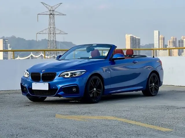 BMW BMW 2 Series (imported) 225i Convertible Coupe Exclusive M Sports Suit