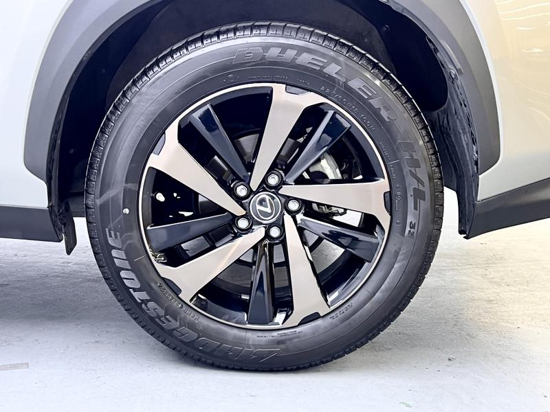 Lexus Lexus NX 2020