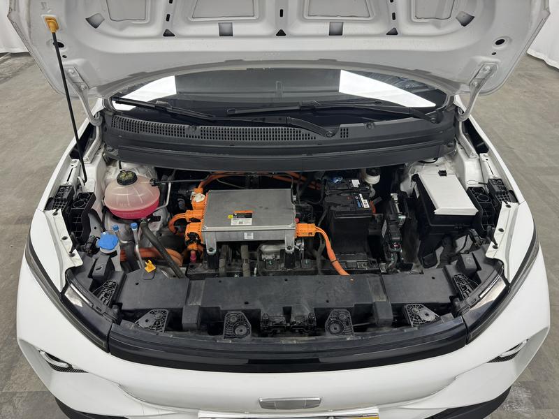 Geometry Geely Geometry E Firefly 2024