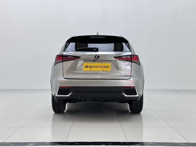 Lexus Lexus NX 2020