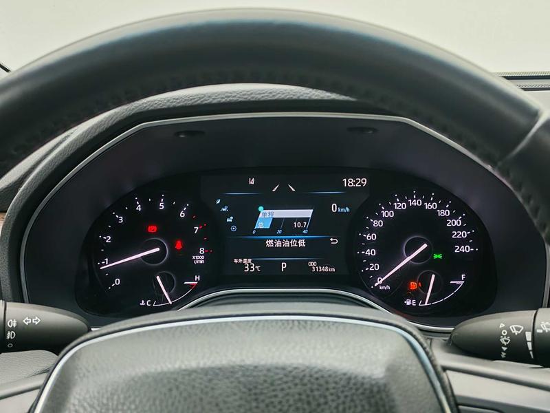 Toyota Asian Dragon 2023