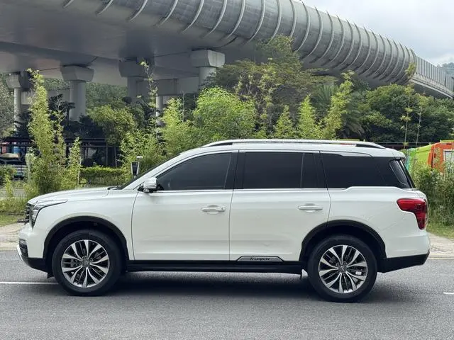 GAC Trumpchi GS8 320T two-wheel drive luxury Zhilian Edition 7 seats
