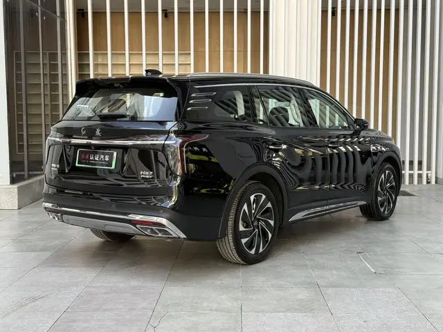 Hongqi Hongqi HS7 PHEV 2.0T four-wheel drive Qichang version 6 seats