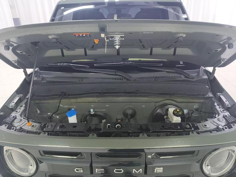 Geely Galaxy panda 2024