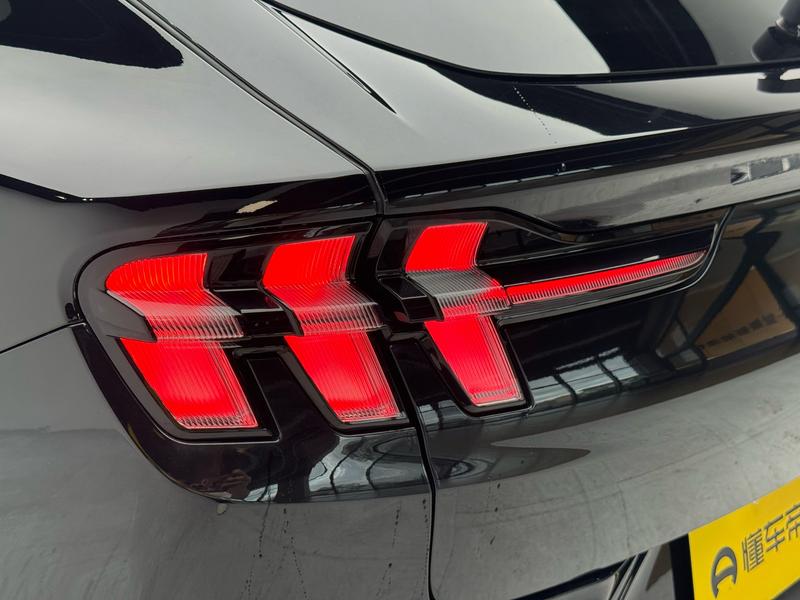 Ford Ford Electric Horse 2021