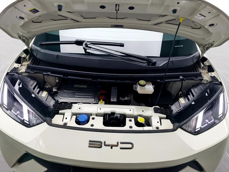 BYD seagull 2024