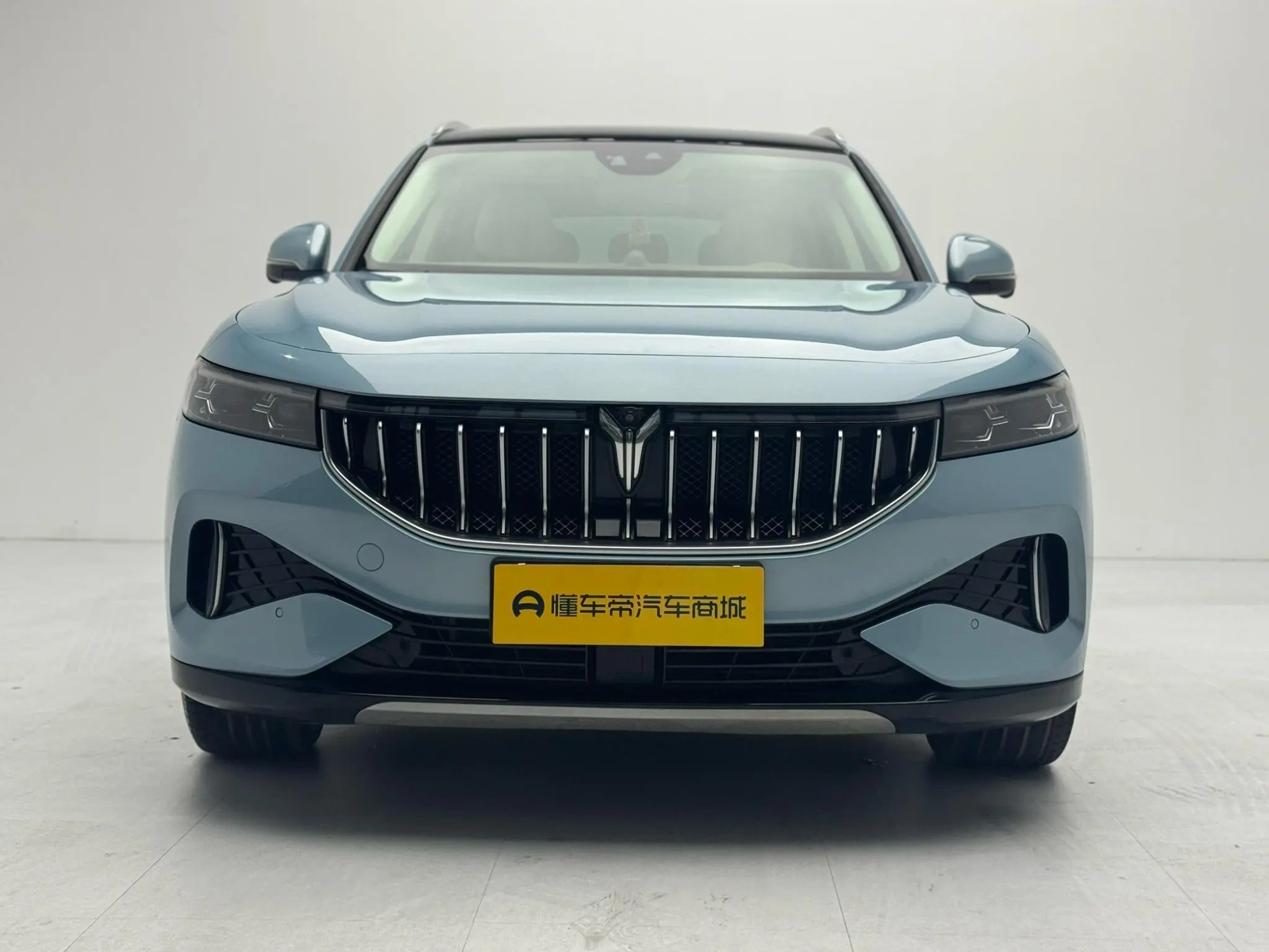 VOYAH Lan Tu FREE Four-wheel drive standard range extension exclusive luxury set