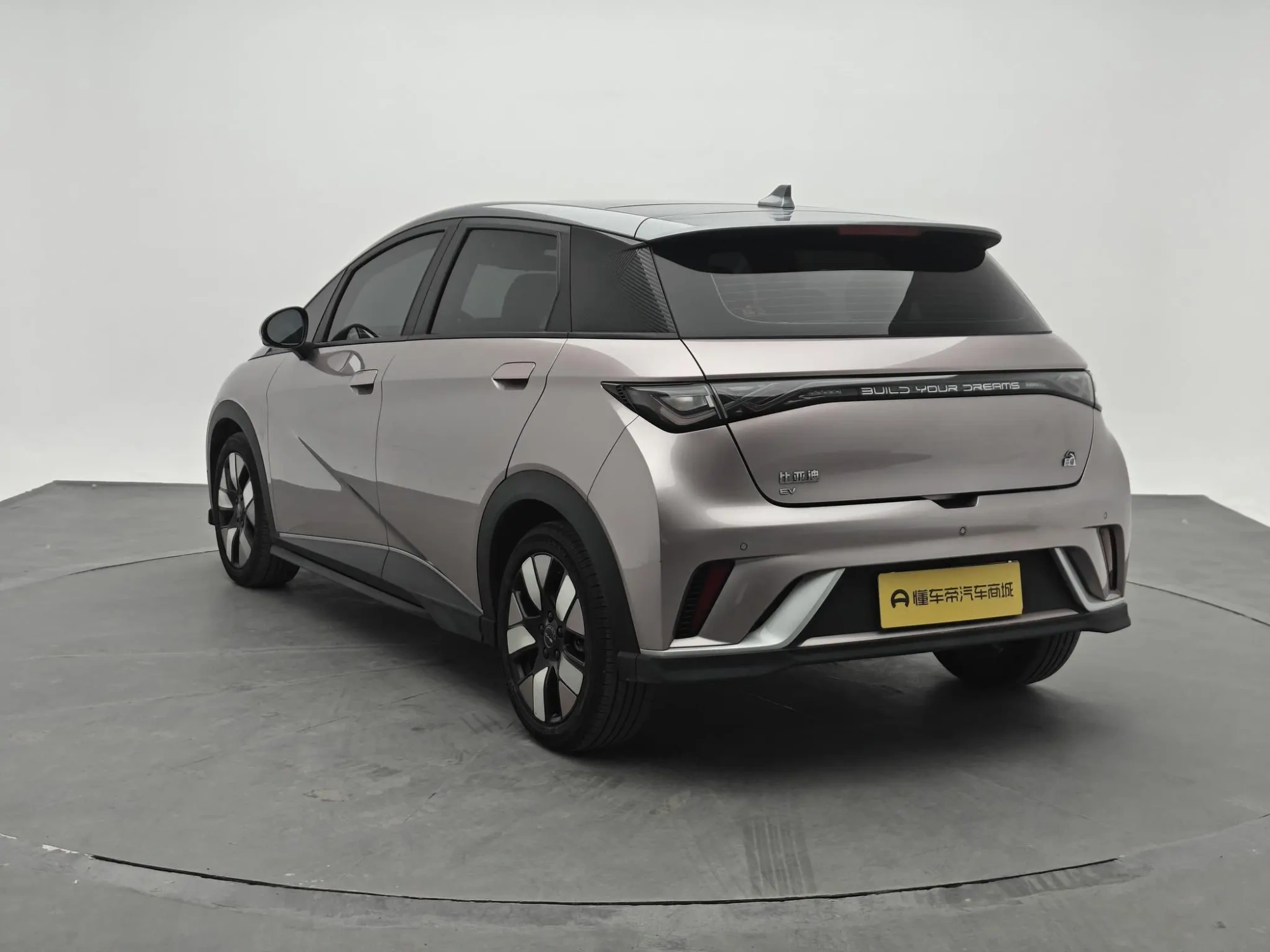 BYD dolphin Knight Edition
