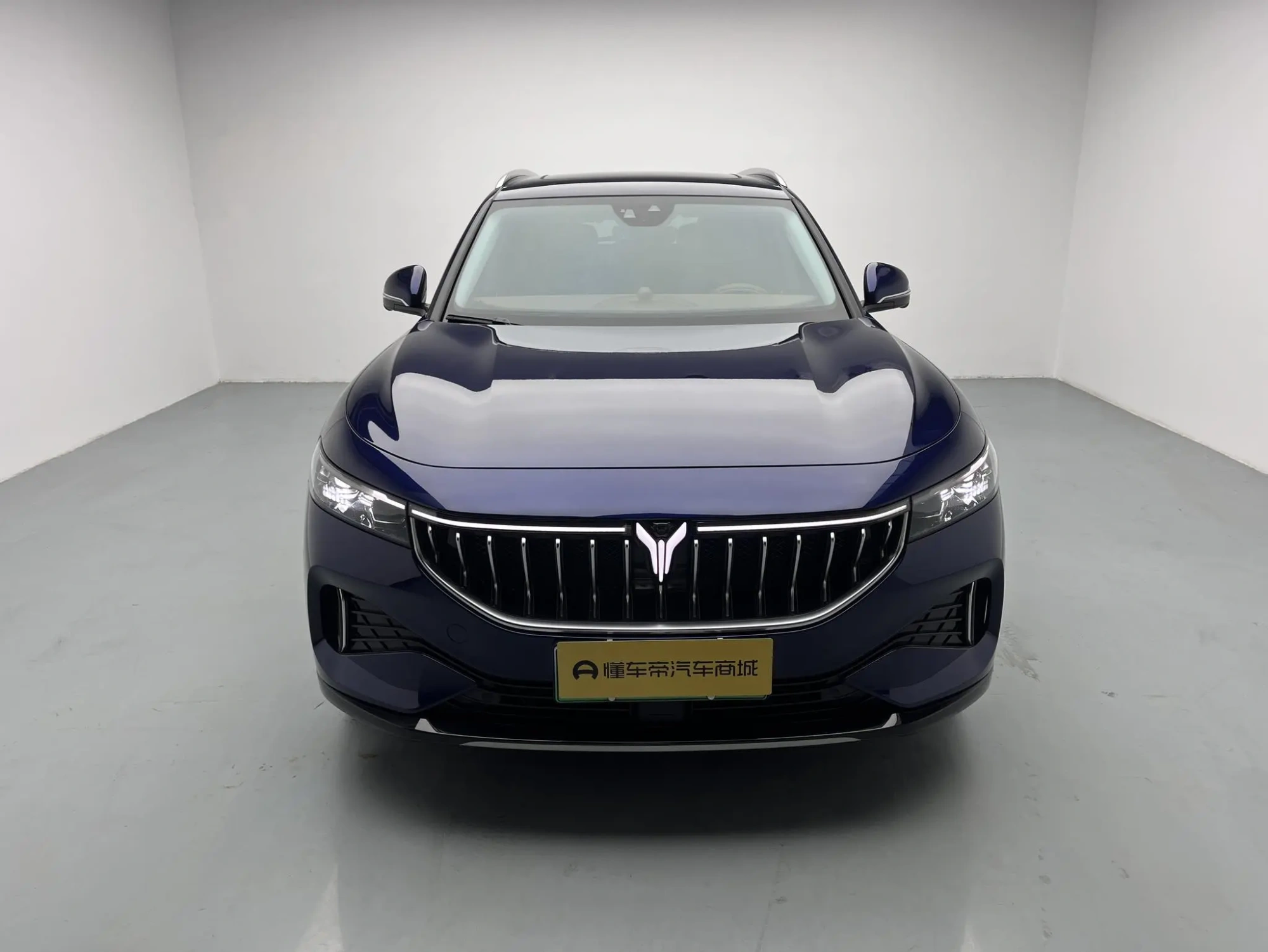 VOYAH Lan Tu FREE Four-wheel drive, long battery life, extended range version