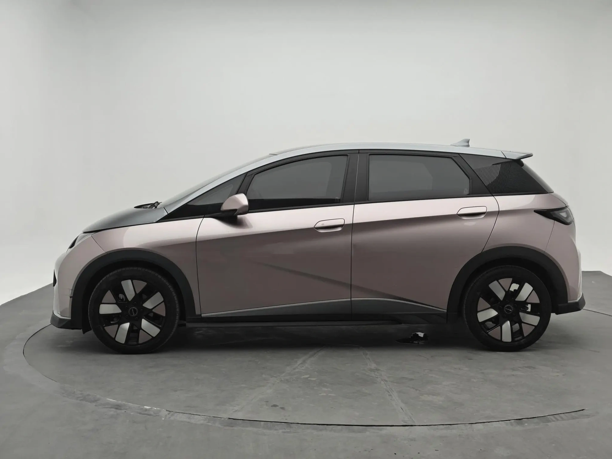 BYD dolphin Knight Edition