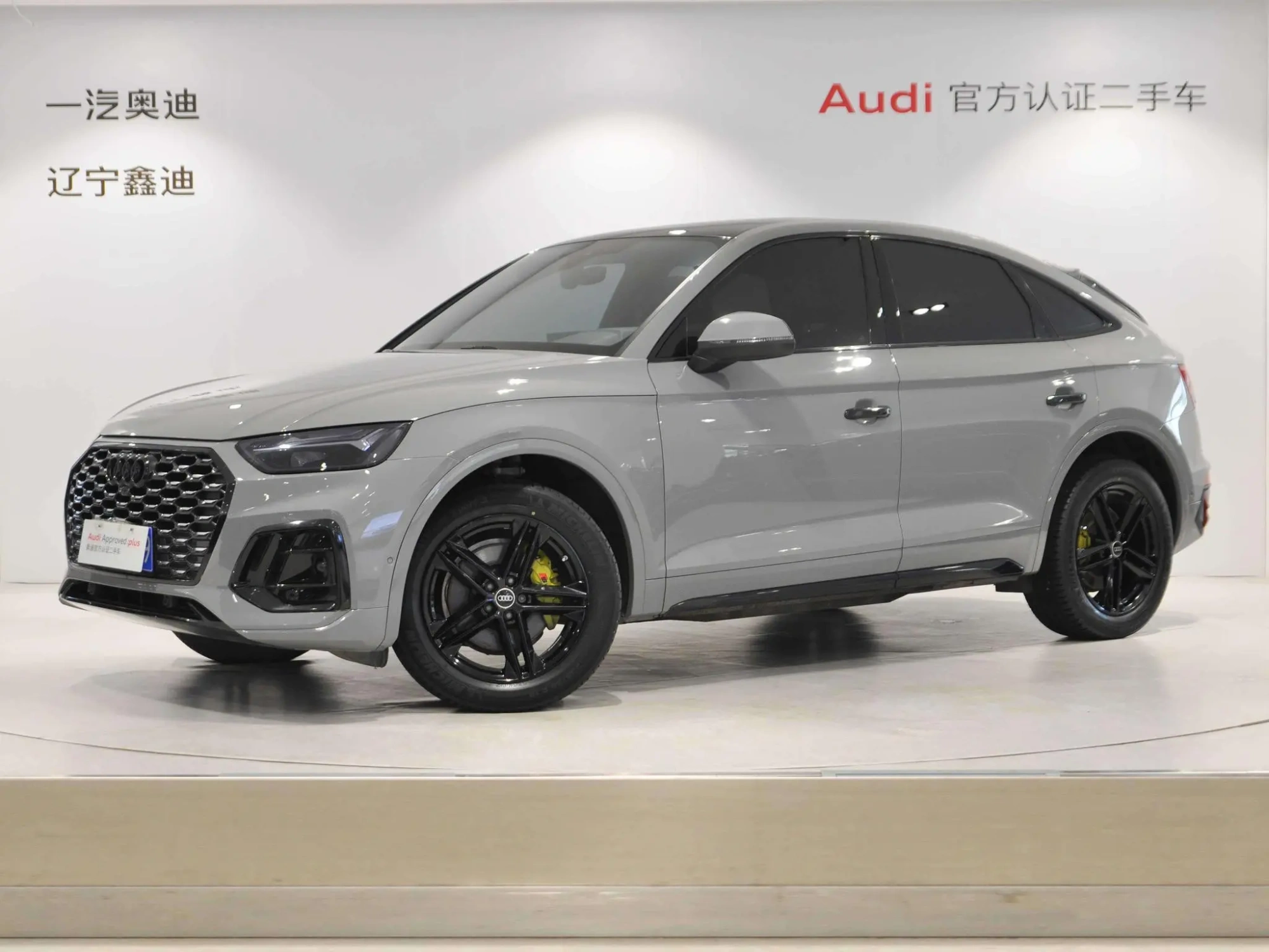 Audi Audi Q5L Sportback 40 TFSI fashion type