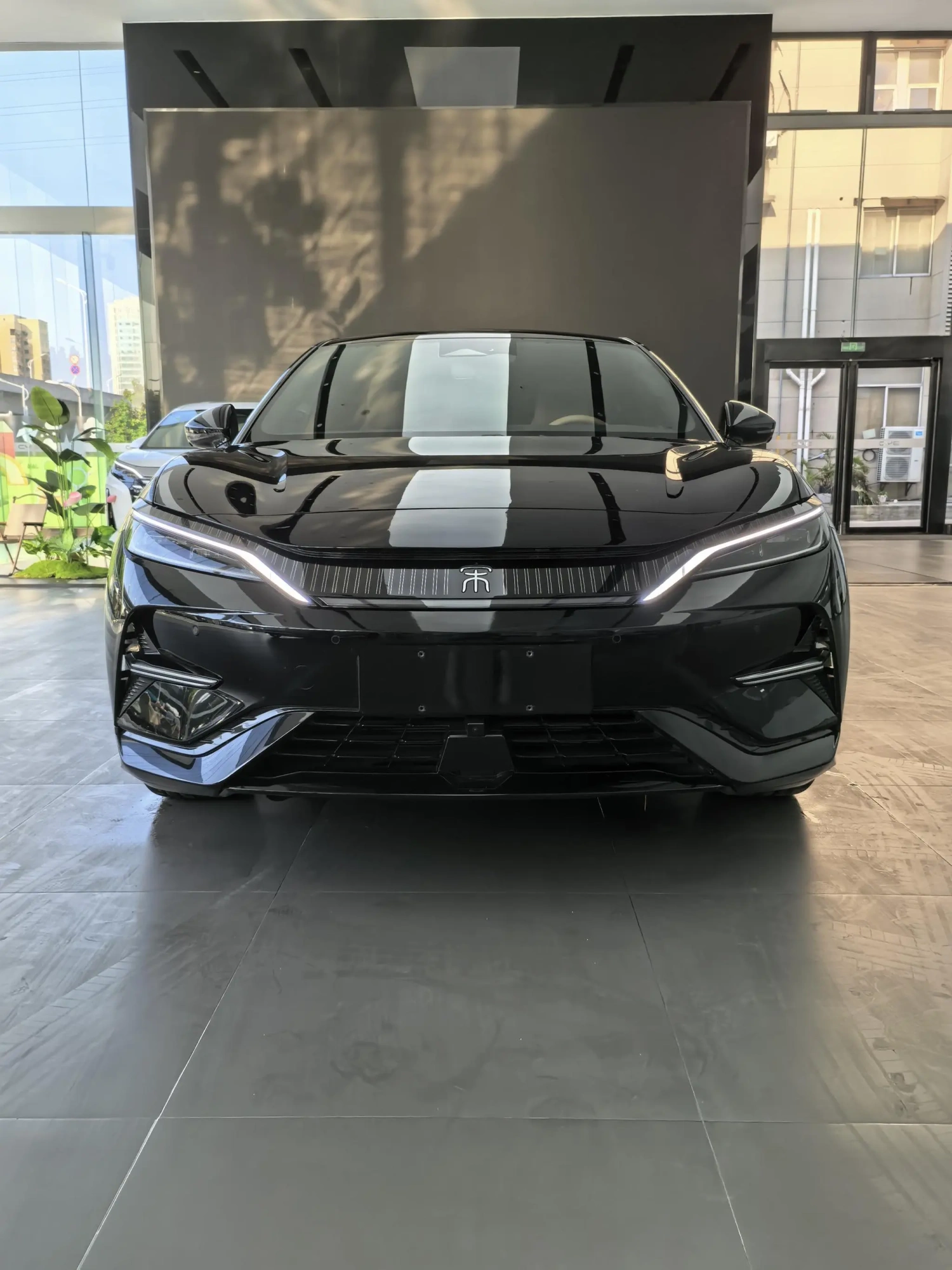 BYD Song L EV 662KM beyond type
