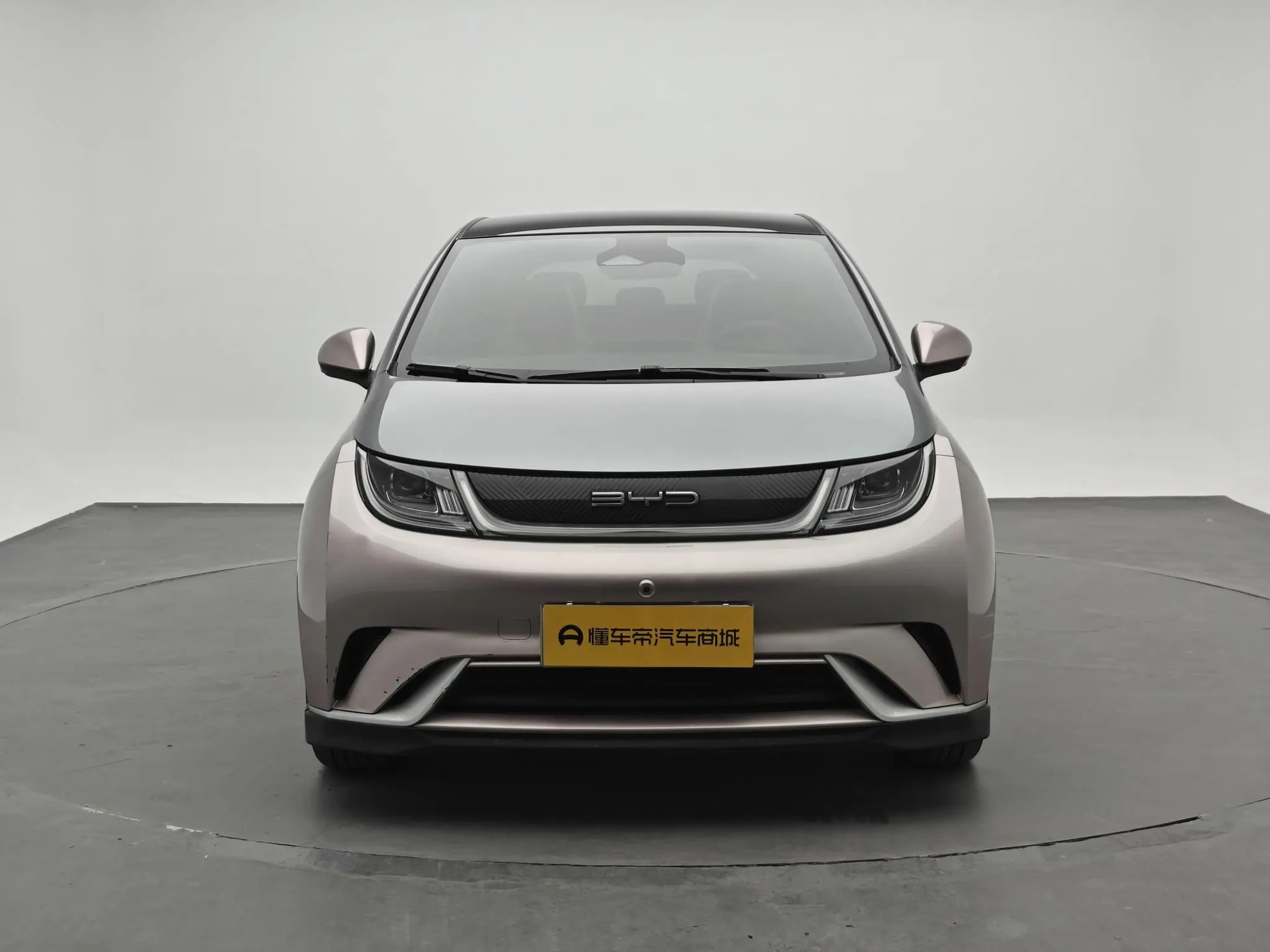 BYD dolphin Knight Edition